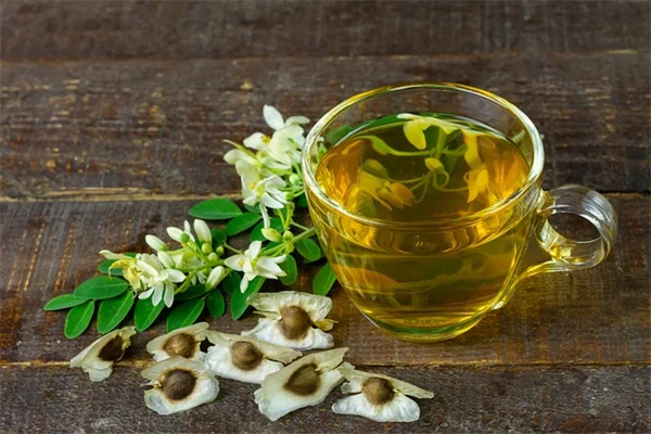 Monkey Orchidの育て方とコツ：初心者でもできる？私の実体験を紹介