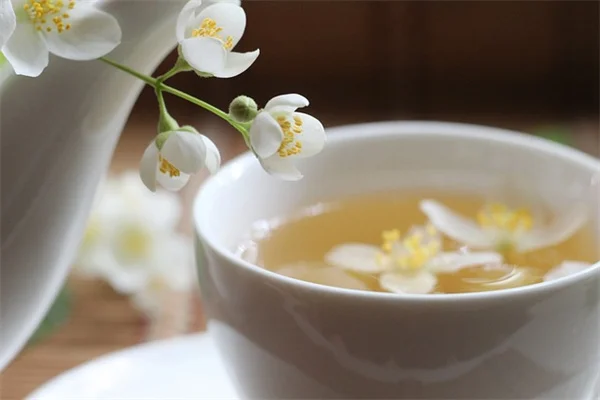 冬でも植物は増やせる？コツと失敗例を解説